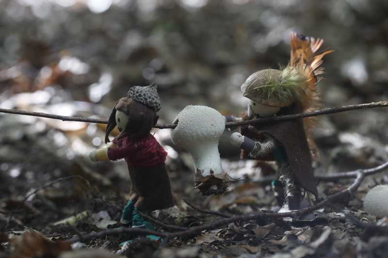 Zwei kleine Filzfiguren tragen einen weißen Kugelpilz an einem Zweig