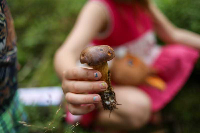 Eine Kinderhand mit buntem Nagellack hält einen kleinen Pilz