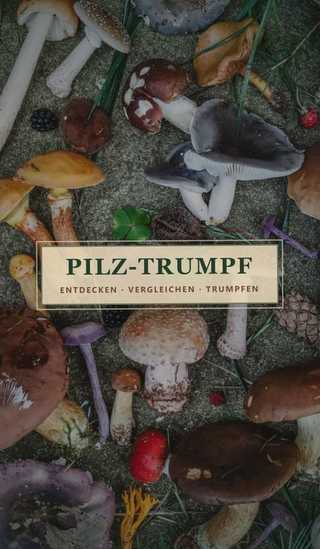 Kartenrückseite: viele verschiedene Pilze, Zapfen und Beeren auf bemoostem Stein, in der Mitte der Schriftzug „Pilz-Trumpf – Entdecken · Vergleichen · Trumpfen“
