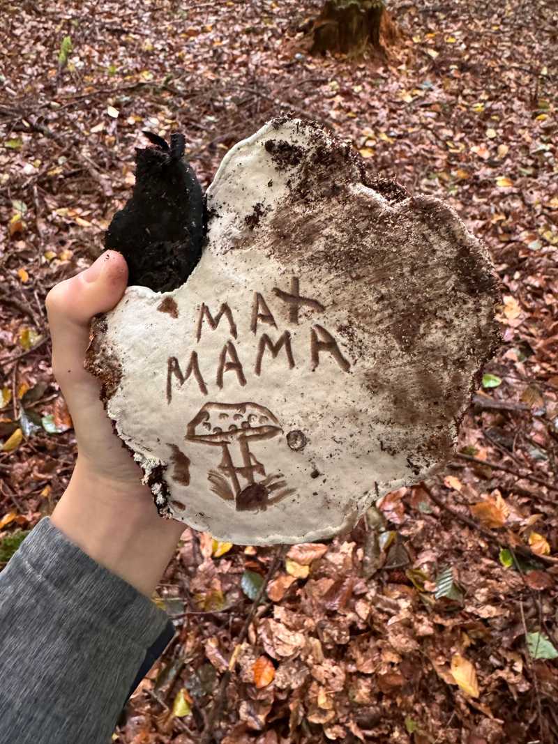 Eine Kinderhand hält einen großen Baumpilz, in dessen helle Unterseite MAX und MAMA geritzt sind