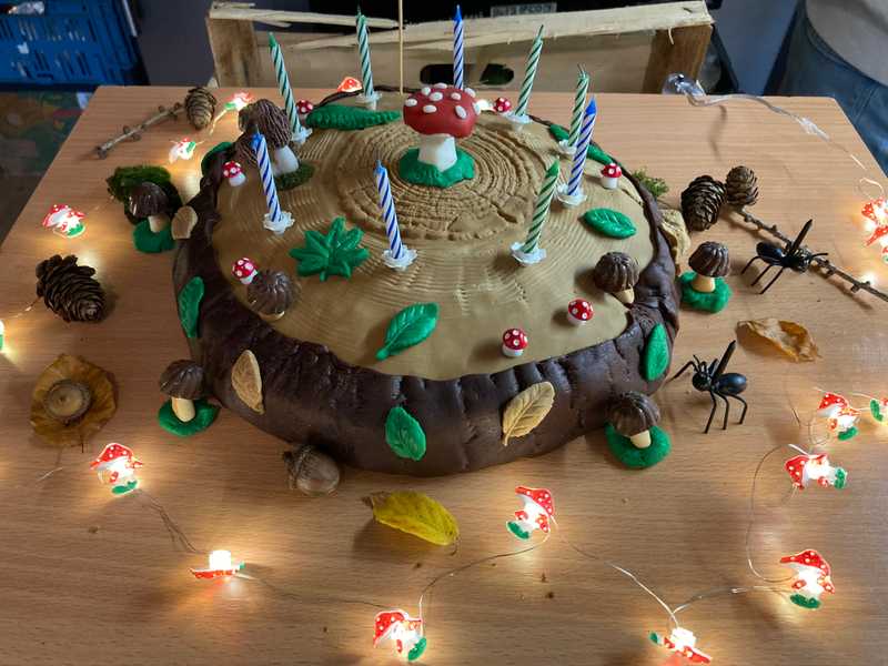 Geburtstagstorte in Form eines Waldbodens mit Marzipan-Pilzen